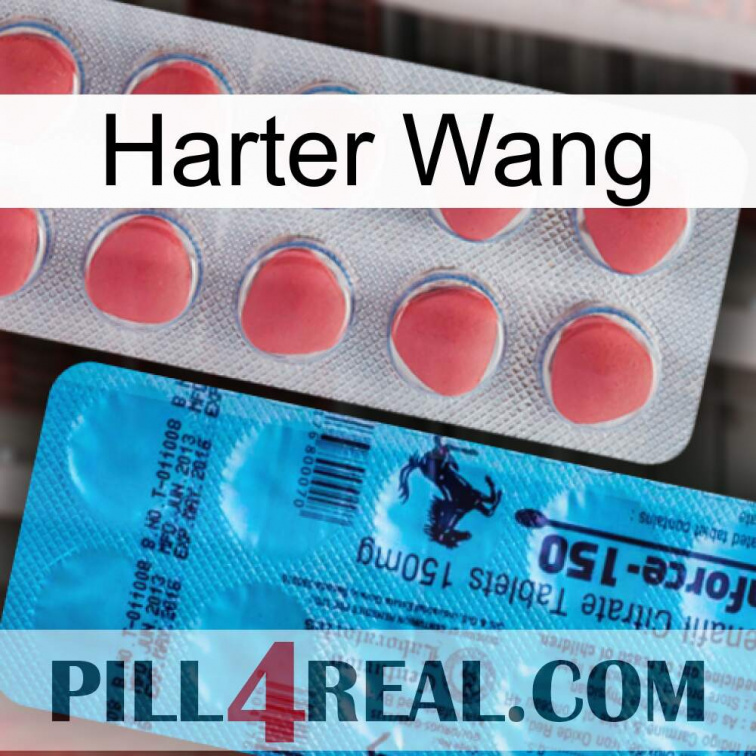 Hard Wang new14